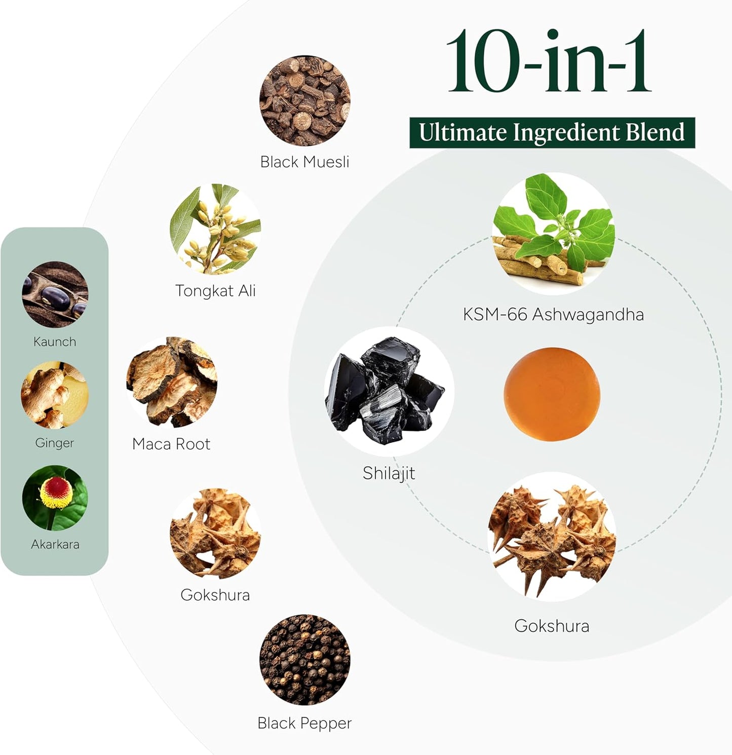 LAMD - Powerful 10 in 1 - Alpha Gummies